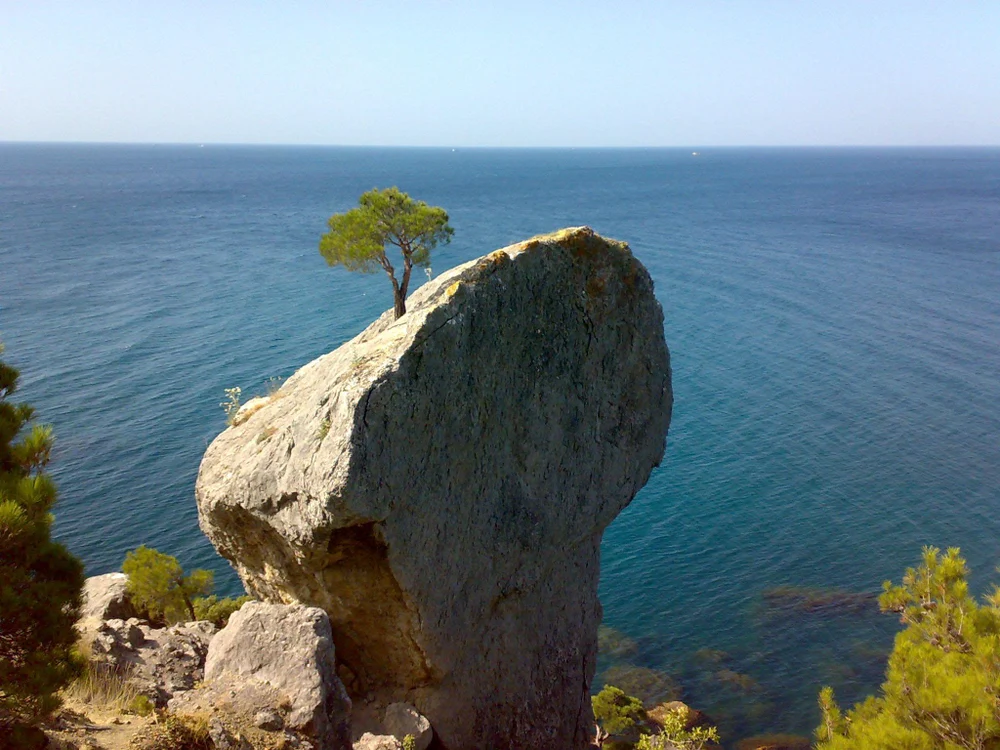 Георич